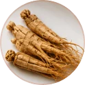 Panax Ginseng Extract